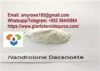 Kuchli anabolik steroid Nandrolone Decanoate kukuni 99,3 foiz USP33 DECA kukuni